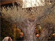 200801-Berti Geburtstag-Fruehling027